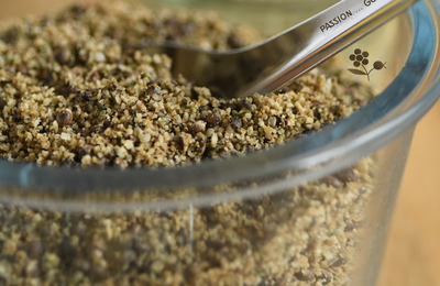 Ma première recette de PARMESAN VÉGÉTAL