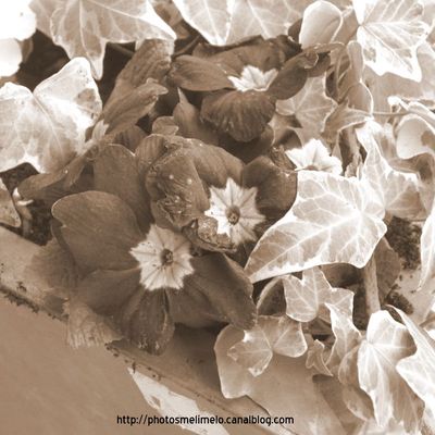 Comme une odeur de printemps