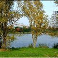 Sortie d'automne autour du barrage de Michelbach (2ème partie ...)