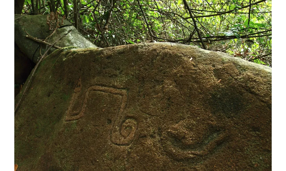 Des années que le "serpent de Pascaud" me trottait dans la tête. Merci à J.P. qui m'a permis de trouver son emplacement !