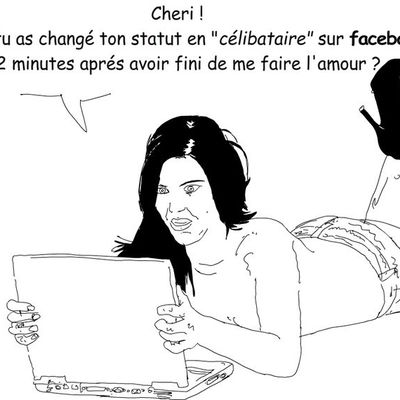 Une enquête d'opinion pour savoir quand les utilisateurs de : twitter, facebook et autres, se ruaient sur leurs réseaux sociaux