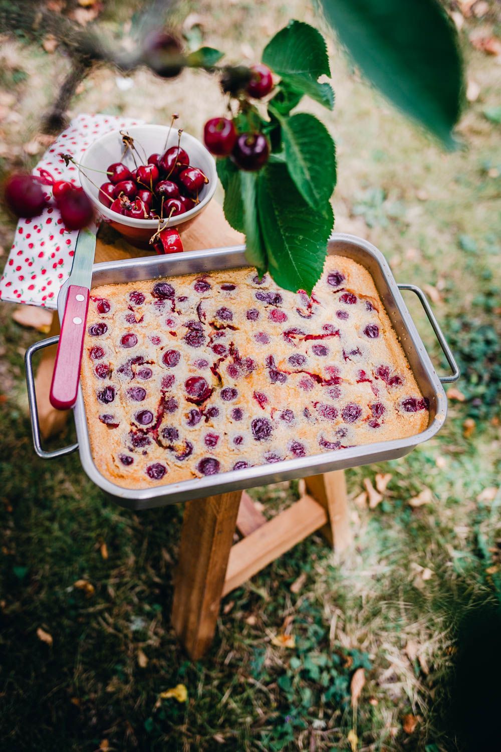 clafoutis aux cerises, clafoutis crémeux, comme un flan, recette d'été, estivale, recette facile, cerises