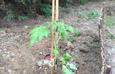 Le 8 mai 2016 les palns de Marmande et de Noires