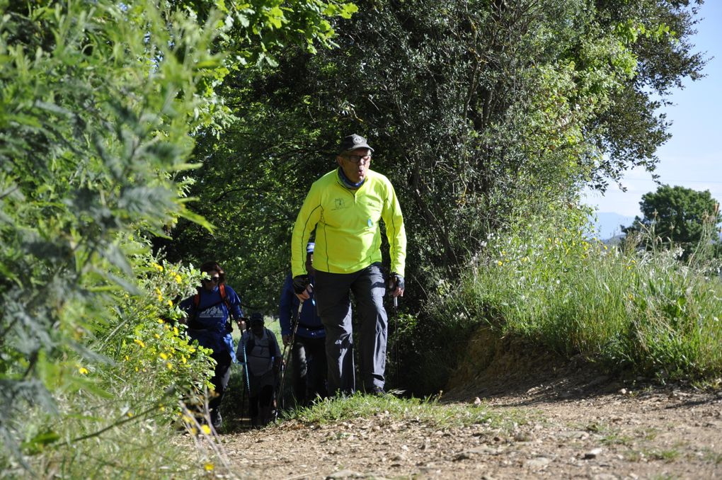 Faites défiler les photos à l'aide de la flèche