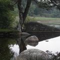 Première balade en famille dans le Tarn , nous