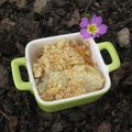 Crumble aux legumes d hiver.