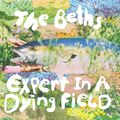 "Expert in a Dying Field" de The Beths : la maîtrise néo-zélandaise de la Power Pop