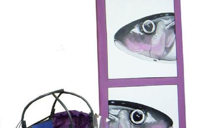 couleur "figue de mer"