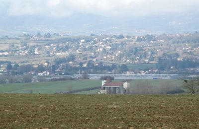 AVEC CES TROIS VUES...