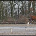 Concours de Dressage