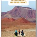 Dans la roue du Petit Prince par Yannick Billard