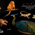 « L’ARCHE DES ESPÈCES MENACÉES » : Un nouvelle saison diffusée sur National Geographic Wild ! 