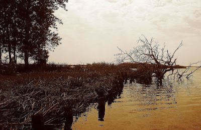 L'ultime voyage des marais