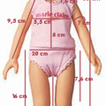 Mensurations des Chéries