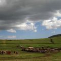 Tanzanie - du N'gorongoro à Olduvaï.