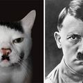 kitler