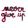 never Give Up