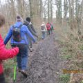 SAVIGNY LE TEMPLE BOUCLE 11 KM