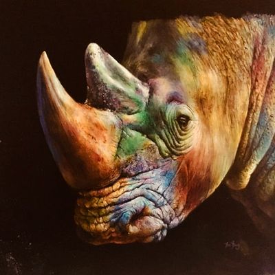 Orientation nouvelle colorée...