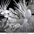 Japanese artist Hiroshi Suzuki won the 4th Schoonhoven Silver Award