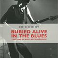"Buried alive in the blues" l'histoire du blues/rock US: Une occasion manquée !