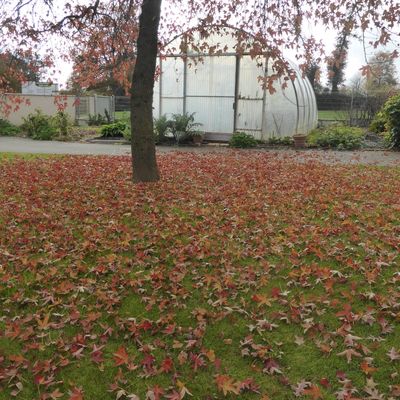 7 DECEMBRE - elle et moi...nous sommes liées...