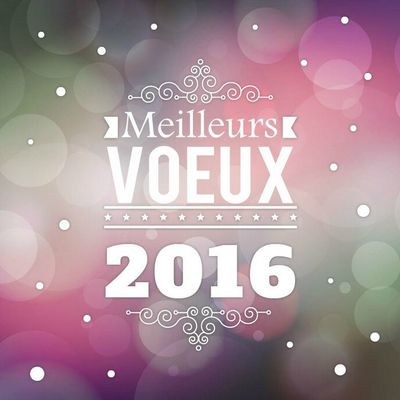 Belle Année 2016 à tous et toutes !