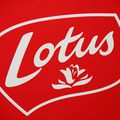Speculoos Lotus