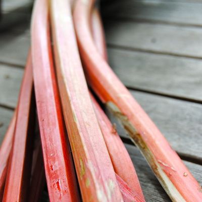 Muffin à la rhubarbe à papa... et maman!