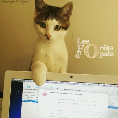 Avis de consommateur Les Forêts d'Opale services et élevage pour animaux angers