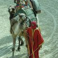 Avant j'étais dans le desert maintenant au PUY DU FOU.