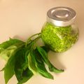 Pesto