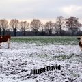 Les pieds dans la neige