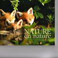 - NATURE EN NATURE - François Vuillemin -