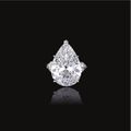 10.50 carats Diamond ring, Harry Winston