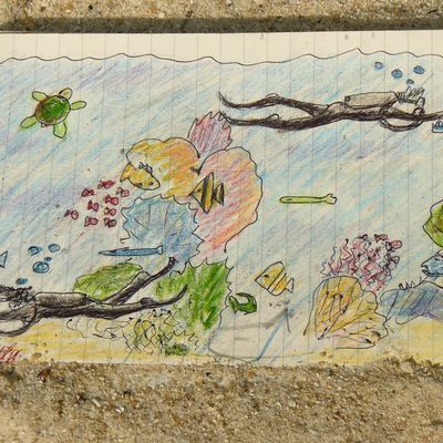 Plongee sur la grande barriere de corail, Australie.