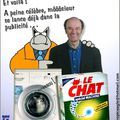 71} Les chats : nouvelles stars de la pub 