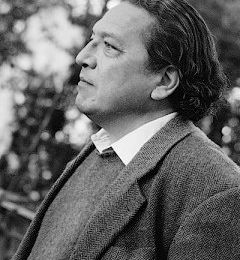 Luis Mizón (1942 - 2022) : Le songe du figuier en flammes / El sueño de la higuera en llamas (I)
