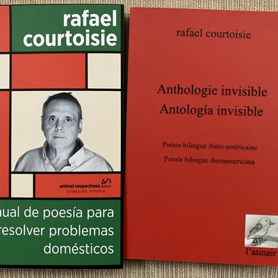 “Manual de poesìa para resolver problemas domésticos”, de Rafael Courtoisie.   (par Antonio Borrell)