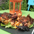 Pilons de poulet caramélisés pour un pique-nique équestre: 81ème concours de la Pentecôte, la fête du cheval lourd breton!