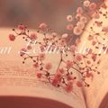 Bilan lecture de Décembre 2013 (+ goodbye 2013).