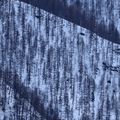 Traits d'hivers - les mélèzes des Hautes-Alpes