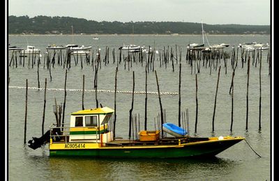 Bassin d'Arcachon