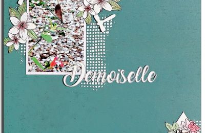 Une demoiselle sur... ♪♫♪♪