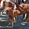 La Foire aux Poulains 2016 Plaintel