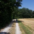 Sur les chemins de l'été