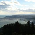 3 raisons pour visiter Dunedin