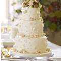LE mariage de l'année : le gâteau