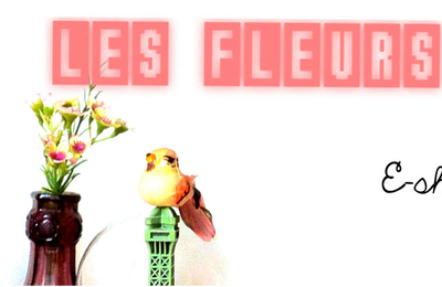 Les Fleurs : Une Bien Belle Boutique