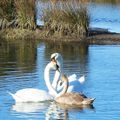 EN FAMILLE.